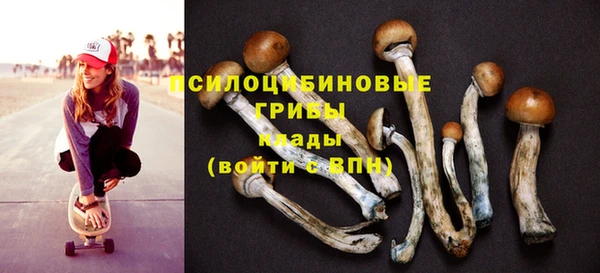 mix Няндома